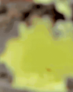 Preparación alfajor - paso 1